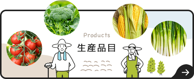 sp_bnr_product